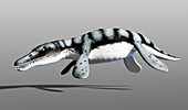 Artwork of marine reptile liopleurodon