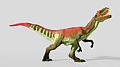 Artwork of Allosaurus