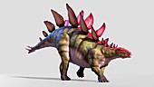 Artwork of Stegosaurus ungulatus