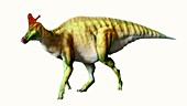 Artwork of the dinosaur Lambeosaurus