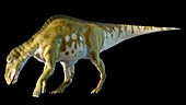 Artwork of a female Edmontosaurus