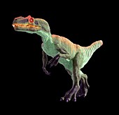 Artwork of Allosaurus