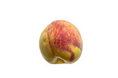 Peach (Prunus persica) fruit