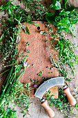 Herbs and mezzaluna knife frame