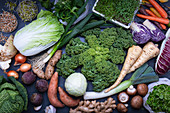 Frisches Wintergemüse, Salate und Sprossen
