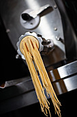 Pastaherstellung: Linguine kommen aus industrieller Nudelmaschnine