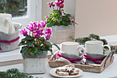 Alpenveilchen, Tassen mit Filz und Wollschnur auf Holztablett und Teller mit Zimtsternen
