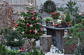 Weihnachts-Terrasse: Nordmanntanne mit Lichterkette, Sternen, roten Kugeln und Kerzen als Weihnachtsbaum geschmückt, kleine Stechfichte mit Lichterkette, Hund Zula