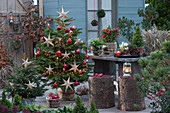 Christmas terrace: Nordmann fir decorated with fairy lights, stars, red balls and candles as a Christmas tree, small spruce with fairy lights