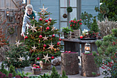 Weihnachts-Terrasse: Nordmanntanne mit Lichterkette, Sternen, roten Kugeln und Kerzen als Weihnachtsbaum geschmückt, kleine Stechfichte mit Lichterkette, Frau zündet Kerzen an
