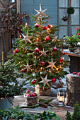 Nordmann fir decorated with fairy lights, stars, red balls and candles as a Christmas tree, small spruce with fairy lights