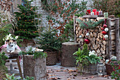 Christmas terrace with Nordmann fir and Norway spruce as Christmas tree, firewood tray with Christmas tree balls and candles, basket box with sugar loaf spruce, fern and Christmas rose