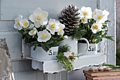 Flowering Christmas roses and pinecones in a nostalgic kitchen wall hanging with enameled pots