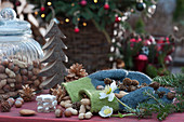 Arrangement with mittens, nuts, pinecones, cinnamon stars, wooden fir trees, fir branches, and blossoms of Christmas rose