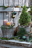 Christmas decorations with white spruce, candles in a basket, conifer branches, and Christmas tree decorations