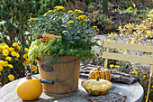 Autumn arrangement with gold-and-silver chrysanthemum, sedum 'Tokyo Sun' and 'Green Ball', corn on the cob, pumpkins, and bark as decoration