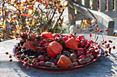 Ingredients for autumn floral decorations: Chinese lanterns, rose hips, acorns, privet berries and acorns