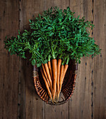 Junge Karotten in einem Weidenkorb