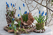 Frühlings-Tischdekoration mit Traubenhyazinthen, dekoriert mit Weidenkätzchen, Moos und Eichenlaub