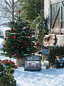 Nordmann fir decorated with red and green ornaments, mini greenhouse with red candles, a wreath of conifer branches, a bench with fur for a seat