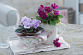 Floral teacups Filled with flowering African violets