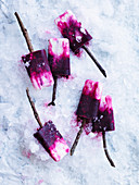 Beetroot, Blackberry and Yoghurt Popsicles