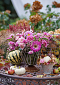 Herbststrauß mit Chrysanthemen, Zinnien, Strandflieder, Löwenmäulchen und Hexengras