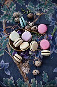 Colourful macaroons and quail's eggs