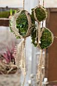 Moss balls with jute as a Christmas decoration