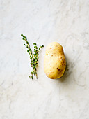 A potato and thyme
