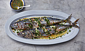 Grilled mackerel with lemon oil and herbs (Turkey)