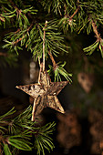Star made from bark hung from pine branch