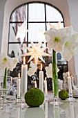 Table decorated for Christmas with amaryllis and candles