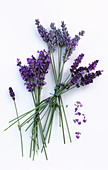 Three lavender bouquets