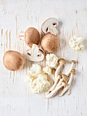 Button mushrooms, cauliflower and oriental shimeji mushrooms
