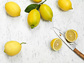 Frische Amalfi-Zitronen