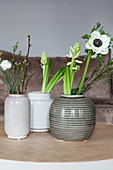 Frühlingsblüten in Keramikvasen: Anemone, Waxflower, Hyazinthe, Milchstern, Prärieenzian und Kirschzweig