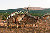 Kentrosaurus dinosaurs, illustration