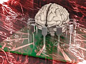 Brain-computer interface, conceptual illustration
