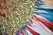 Chemical mixture, polarised light micrograph