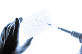 Biological research, conceptual image