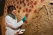 Painting a replica panel for Caverne du Pont d'Arc, France