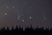 Orion and Perseid meteor