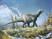 Barilium dinosaur, illustration