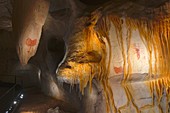 Insect engravings, Chauvet cave replica, France