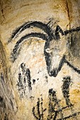 Ibex drawing, Caverne du Pont d'Arc, France