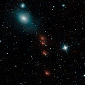 Comet C 2013 A1 Siding Spring, NEOWISE image