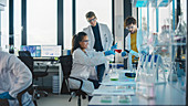 Scientists working in laboratory