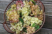 Wire basket of hydrangeas