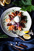 Salmon with sun-dried tomatoes and Burrate